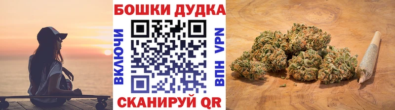 Купить закладки  Болхов  Шишки марихуана план 