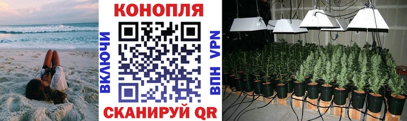 Канабис план Болхов